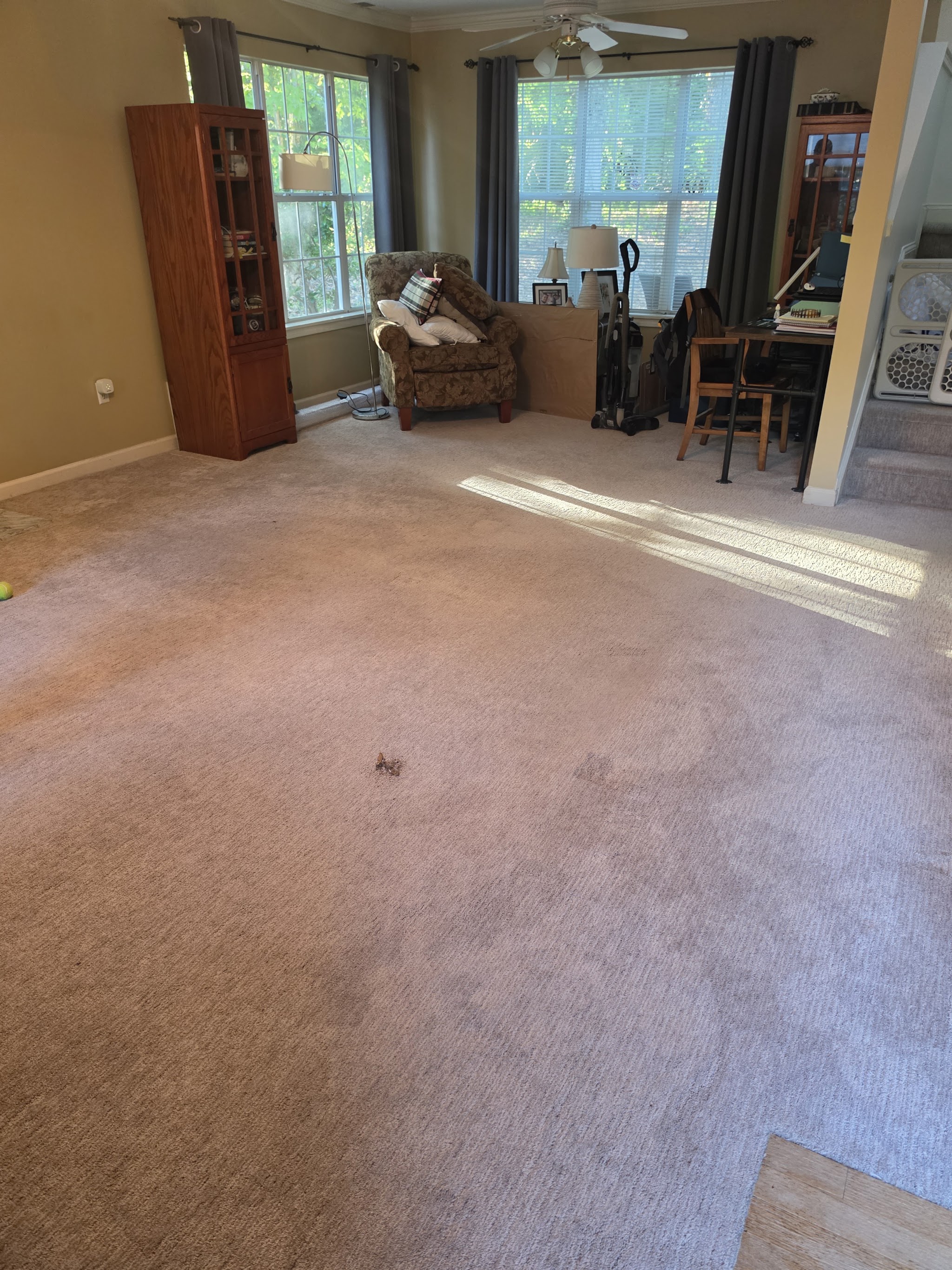 An emptied room with bare carpet and sunlight
